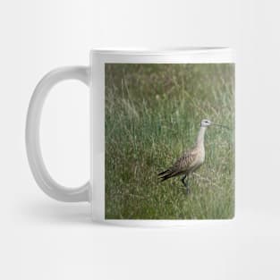 ali ibis Mug